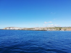 IMG 20181125 125714