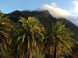 IMG 20181125 184527