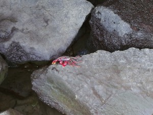 IMG 20181201 114149 (2) 