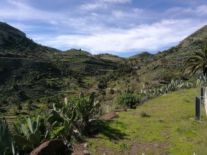 IMG 20181201 132036 (2) 