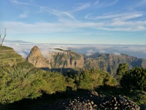 IMG 20181201 172839 (2)      