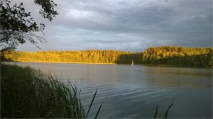 Obraz (5)