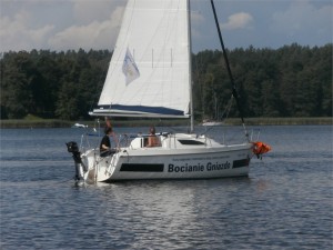 Obraz 154