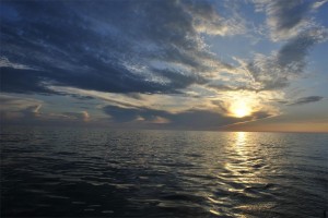 _DSC0080