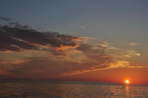 _DSC0157