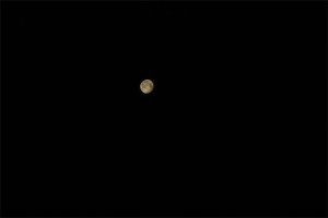 _DSC0208