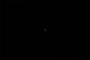 _DSC0209