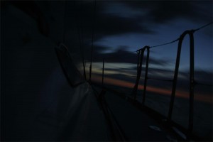 _DSC0229