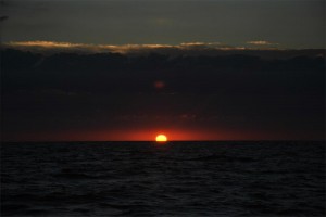 _DSC0297