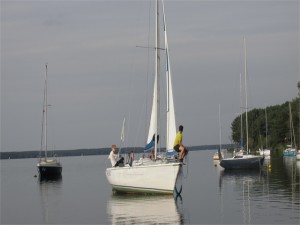 IMG_0252    