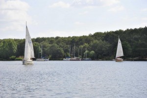 _DSC0411kurszeglarski2015